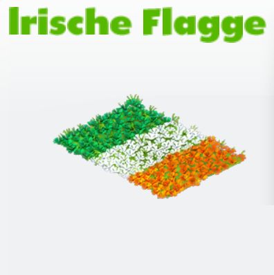 Irische Flagge         